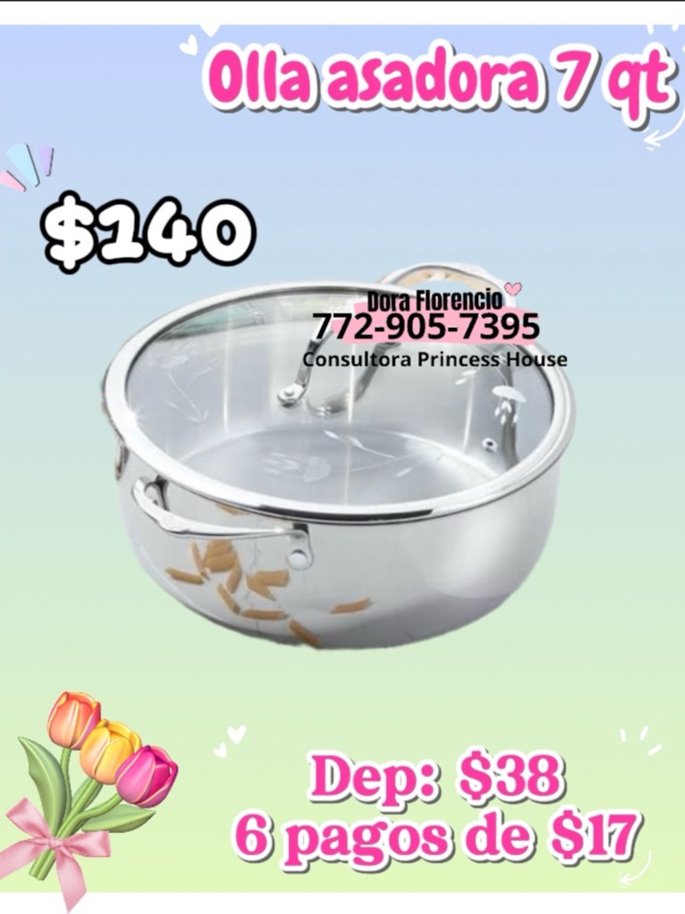 Princess House Stainless Steel 7 Qt Roasting Pot